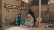 ثعالب الصحراء undefined