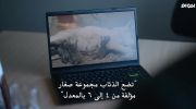 Wolf Like Me الموسم الثاني undefined