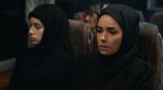 ورود حمراء مدبلج undefined