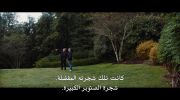 Stiller & Meara: Nothing Is Lost undefined