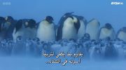 Frozen Planet II undefined