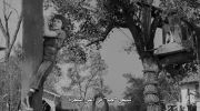 To Kill a Mockingbird undefined