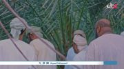 القافر undefined