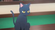 Kuroneko to Majo no Kyoushitsu undefined