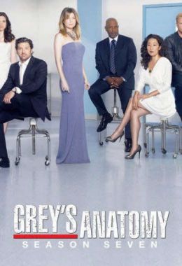 Grey's Anatomy الموسم السابع