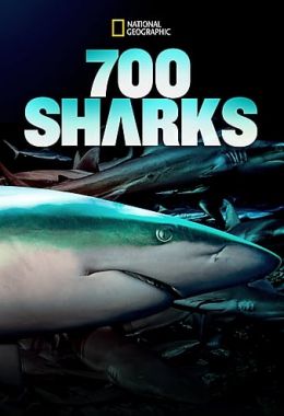 700Sharks