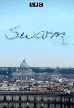 Swarm: Nature's Incredible Invasions