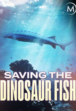 Saving the Dinosaur Fish