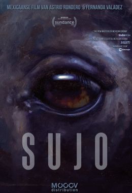 Sujo