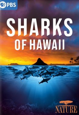 Sharks of Hawaii