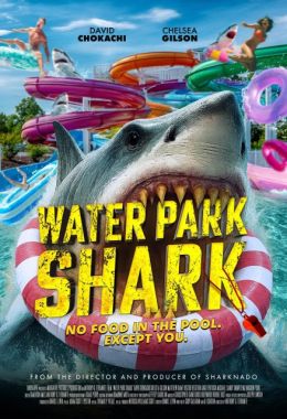 Water Park Shark