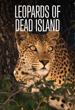Leopards of Dead Tree Island