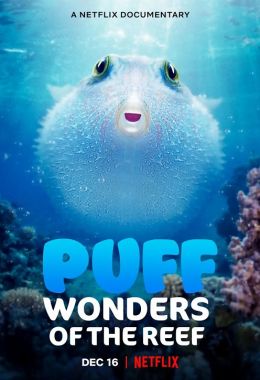 Puff Wonders of the Reef