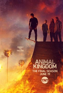 Animal Kingdom الموسم السادس