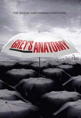 Grey's Anatomy الموسم السادس