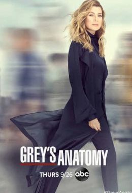 Grey's Anatomy الموسم السادس عشر