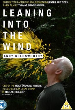 Leaning Into the Wind Andy Goldsworthy