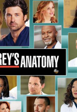 Grey's Anatomy الموسم التاسع