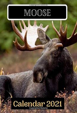 Moose