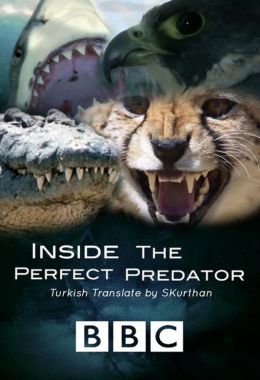 Inside the Perfect Predator