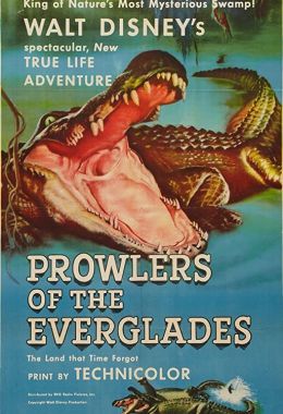 Prowlers of the Everglades