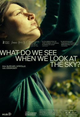 What Do We See When We Look at the Sky