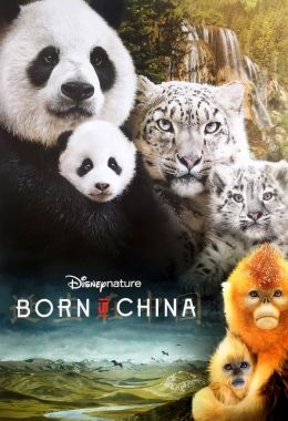 Born in China