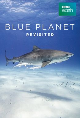 Blue Planet Revisited