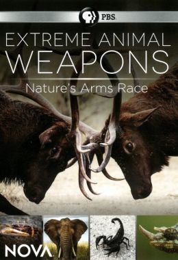 Extreme Animal Weapons