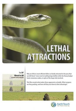 Lethal Attractions