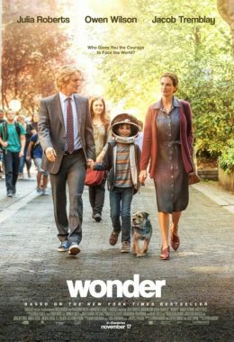 Wonder