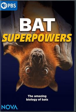 Bat Superpowers