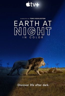 Earth at Night in Color