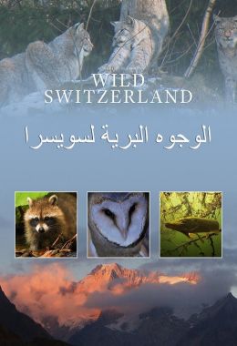 الوجوه البرية لسويسرا