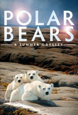 Polar Bears: A Summer Odyssey