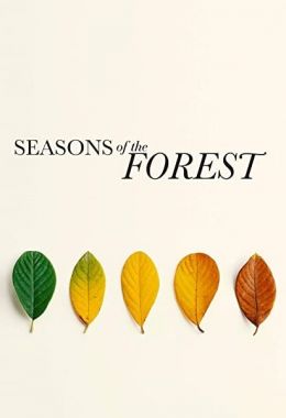 Seasons of the Forest