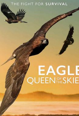 Eagle - Queen of The Skies