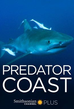 Predator Coast