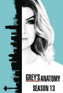 Grey's Anatomy الموسم الثالث عشر