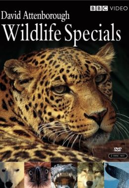 Wildlife Specials الموسم الاول