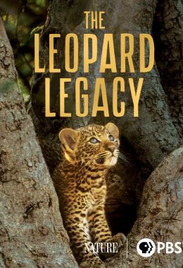 The Leopard Legacy