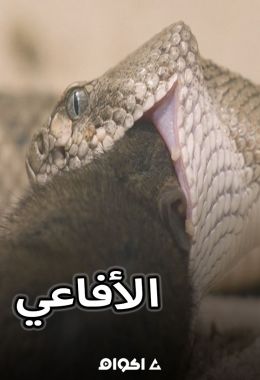 الأفاعي