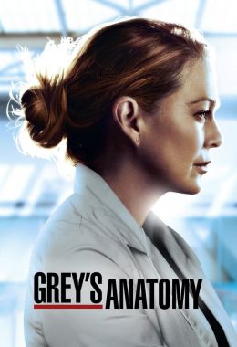 Grey's Anatomy الموسم السابع عشر