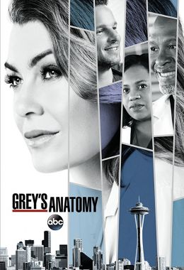 Grey's Anatomy الموسم الرابع عشر