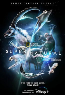 Super/Natural الموسم الاول