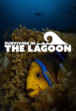 Surviving in the Lagoon