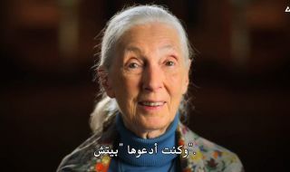 7 : Jane Goodall