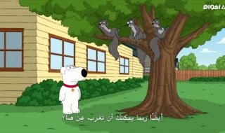 10 : الحلقة العاشرة