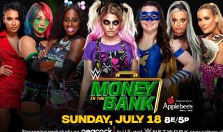 3 : Money in the Bank ladder - a womens championship