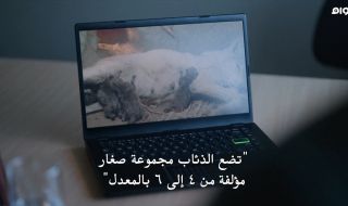 1 : الحلقة الاولي